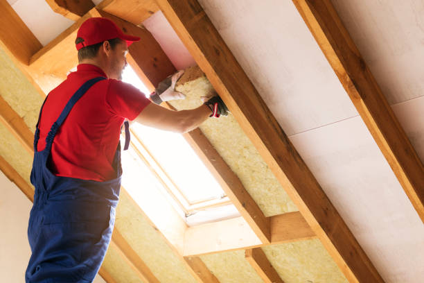 Best Batt and Roll Insulation  in Tarboro, NC